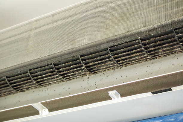 Best Affordable HVAC Duct Cleaning  in Ocean Ridge, FL