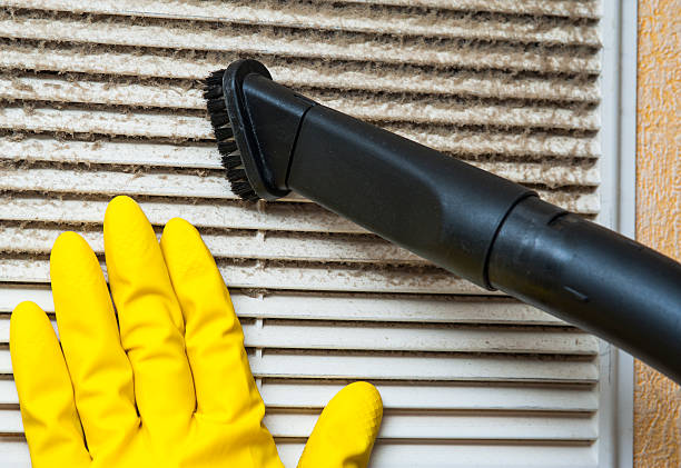 Best Affordable Duct Cleaning Services  in Ocean Ridge, FL